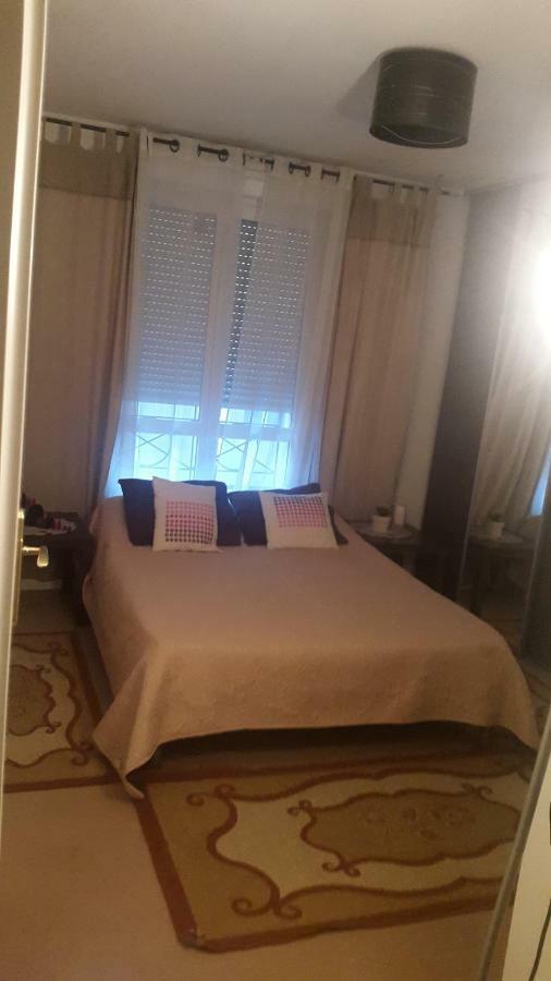 8 Rue Brise Echalas Saint-Denis  Eksteriør billede